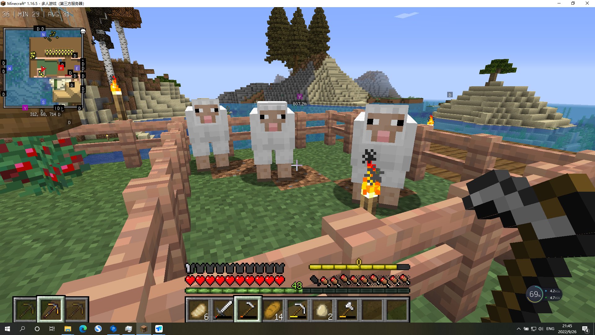 只狼：影逝二度 重制版 截图2